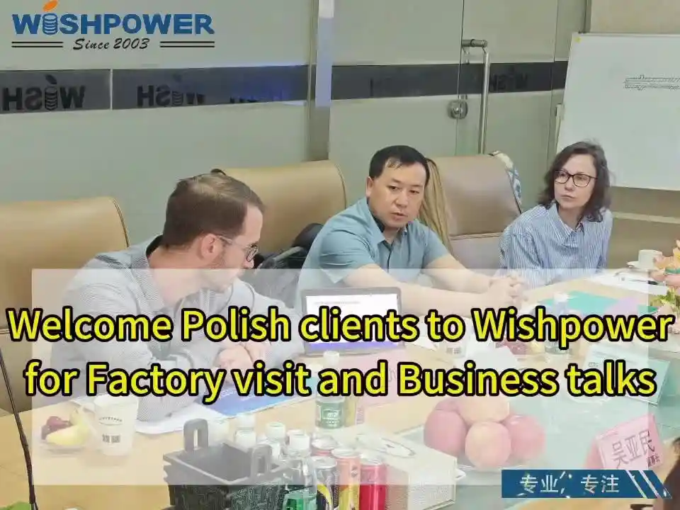 Polish Clients Visit Wishpower Factory | Business Talks & Cooperation