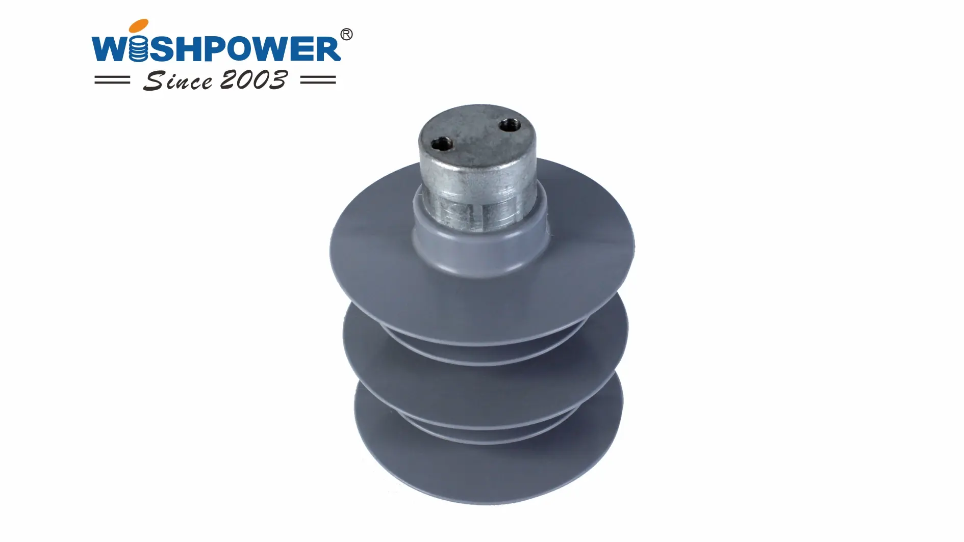 Post Composite Insulators for Distribution Lines4